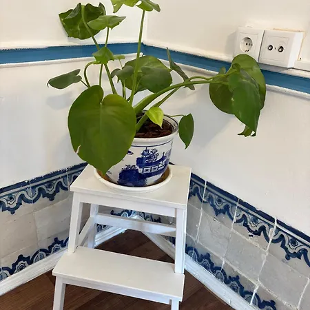 Casa Do Avo *
